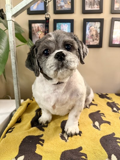 Grooming Van Image