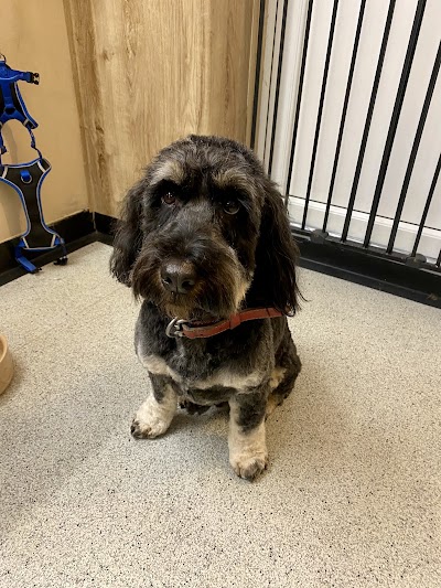 Grooming Van Image