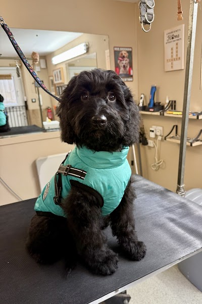 Grooming Van Image