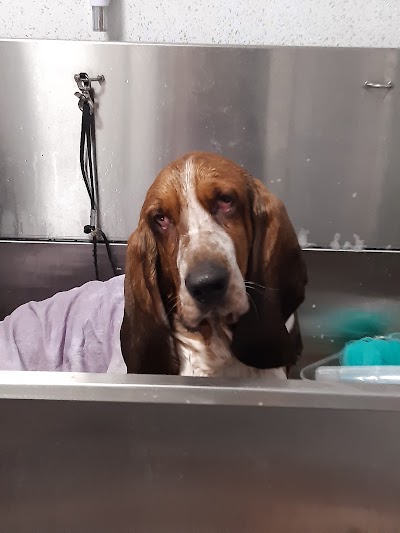 Happy Howlers Dog Grooming