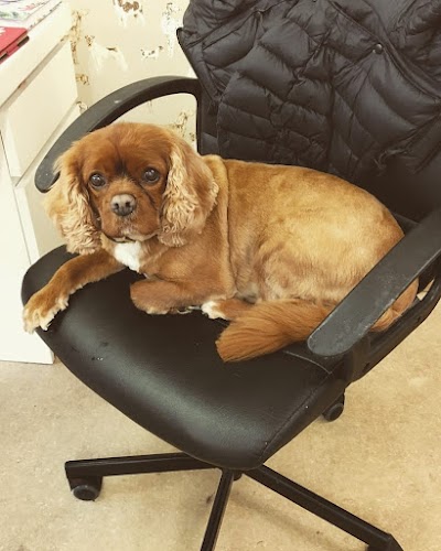 Grooming Van Image