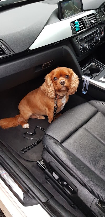 Grooming Van Image