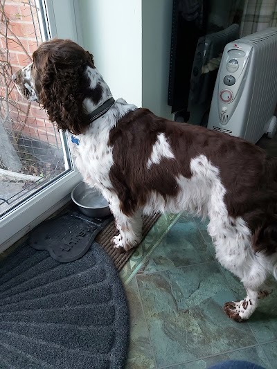 Grooming Van Image