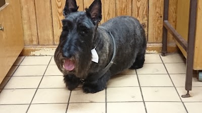 Grooming Van Image