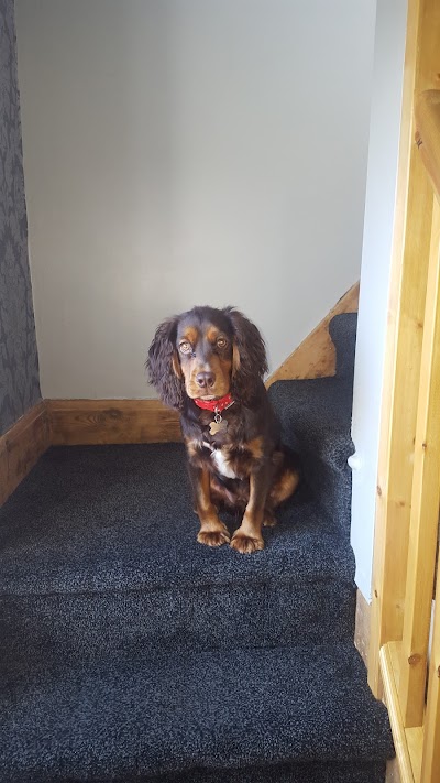 Grooming Van Image