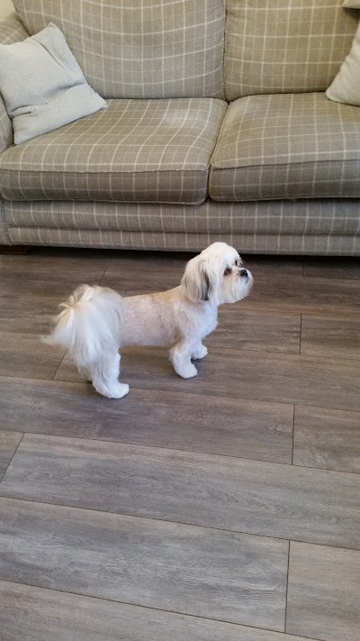 Grooming Van Image