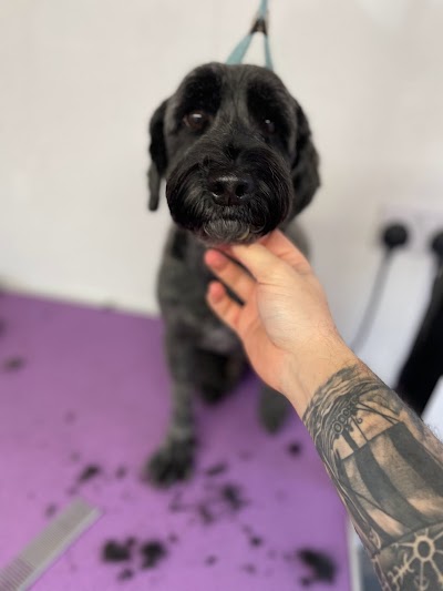 Grooming Van Image