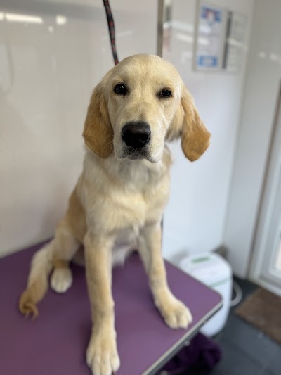 Grooming Van Image