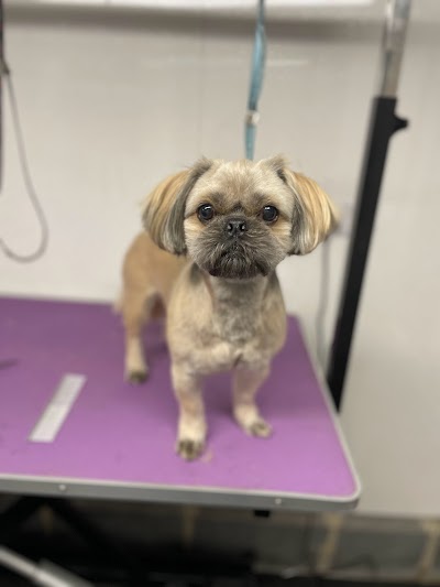 Grooming Van Image