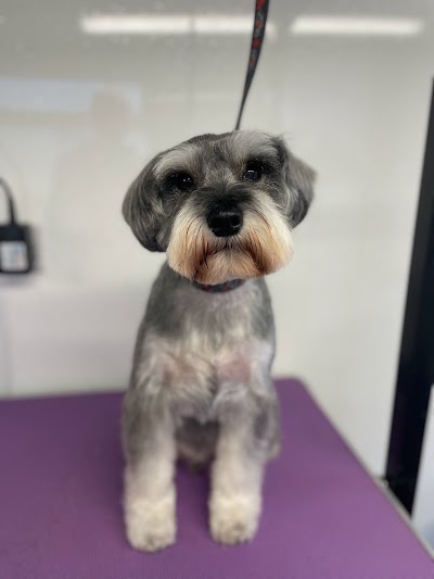Grooming Van Image