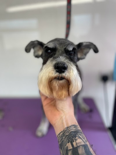 Grooming Van Image