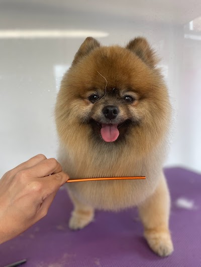 Grooming Van Image
