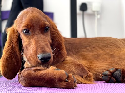Grooming Van Image