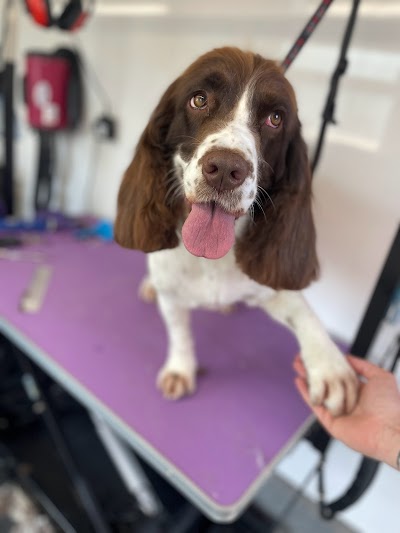 Grooming Van Image