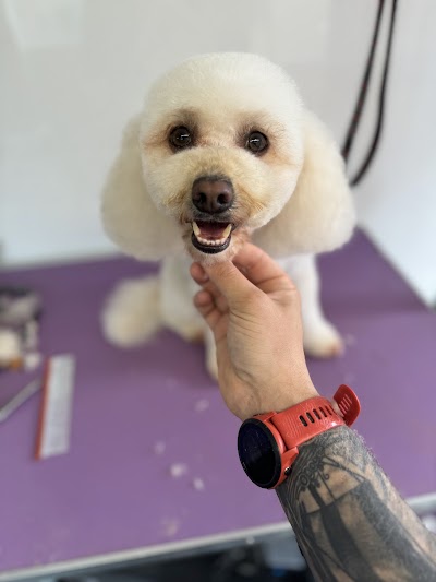 LedByLead Dog Grooming Horsforth