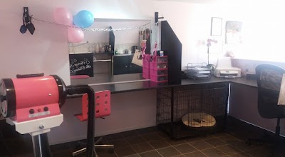 Grooming Van Image