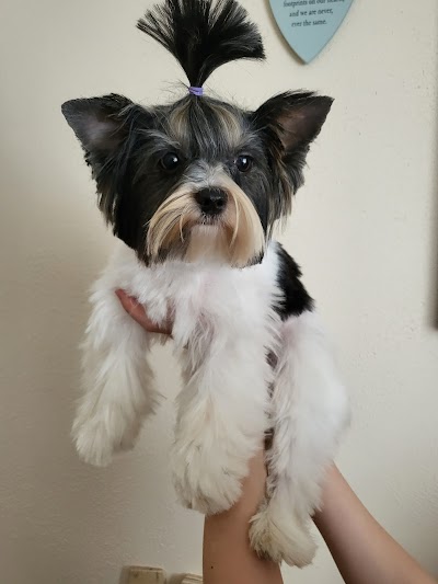 Grooming Van Image