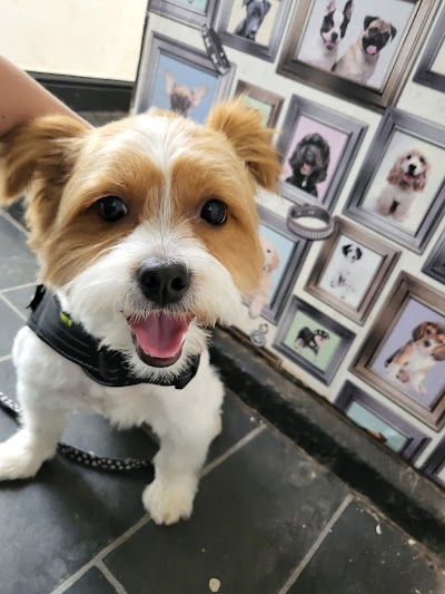 Grooming Van Image