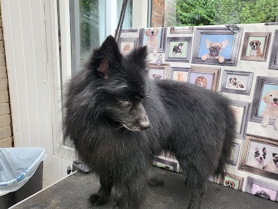 Grooming Van Image