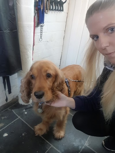 Grooming Van Image