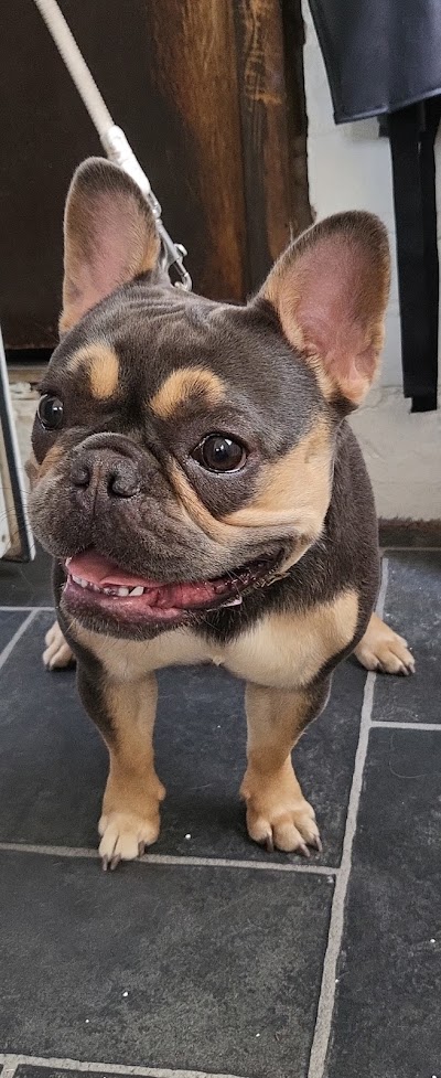 Grooming Van Image