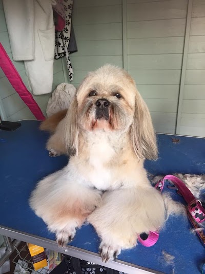 Grooming Van Image