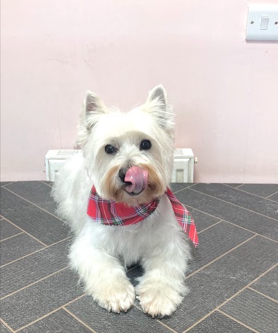 Grooming Van Image