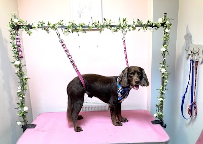 Grooming Van Image