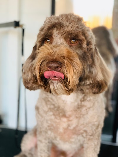 Grooming Van Image