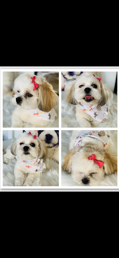 Grooming Van Image
