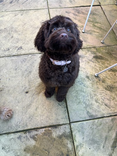 Grooming Van Image