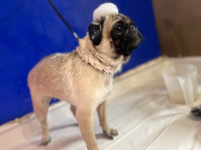 Grooming Van Image