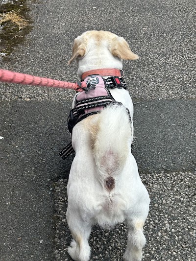 Grooming Van Image