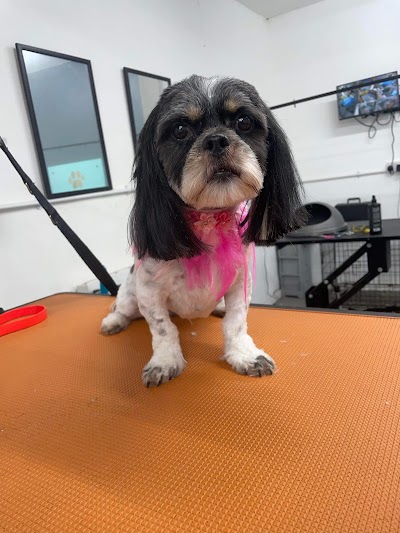 Grooming Van Image