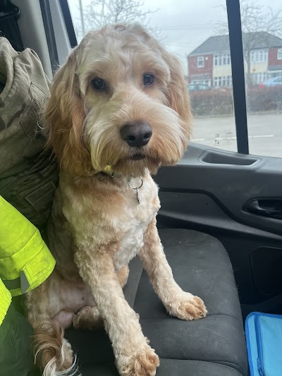 Grooming Van Image