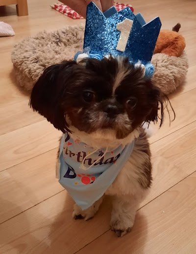 Mucky Makeovers Dog Grooming