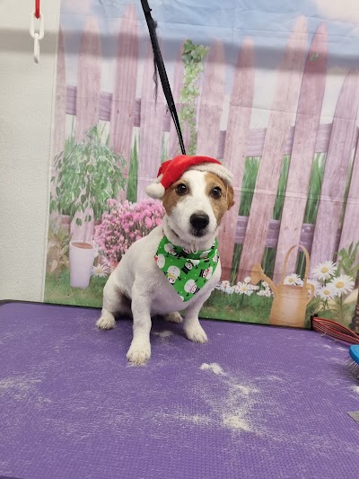 Grooming Van Image