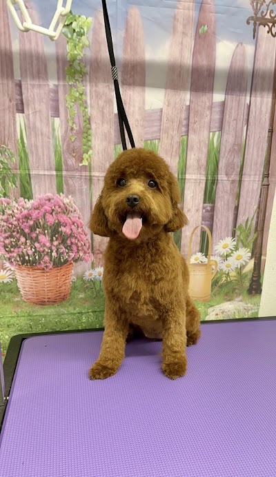 Grooming Van Image