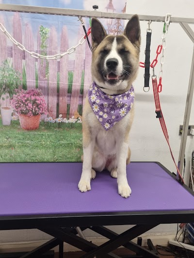 Grooming Van Image