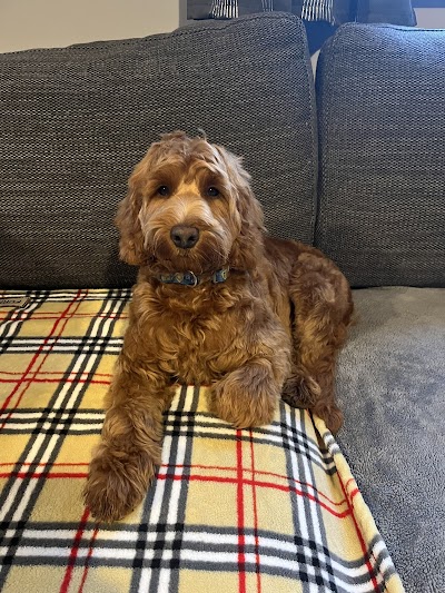 Grooming Van Image