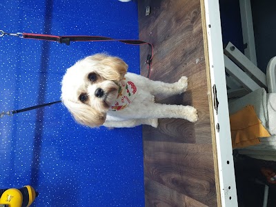 Grooming Van Image