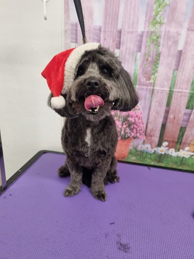 Grooming Van Image