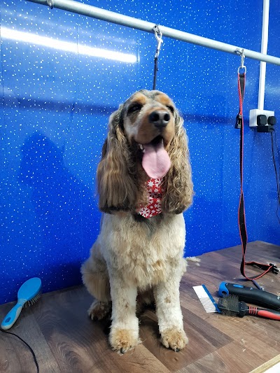 Grooming Van Image