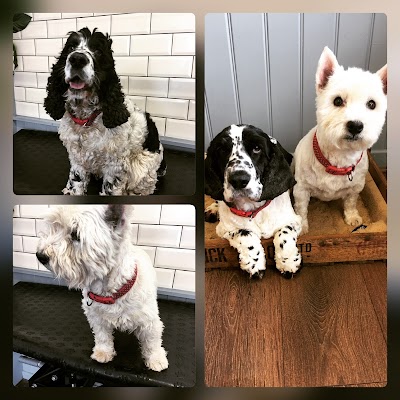 Grooming Van Image