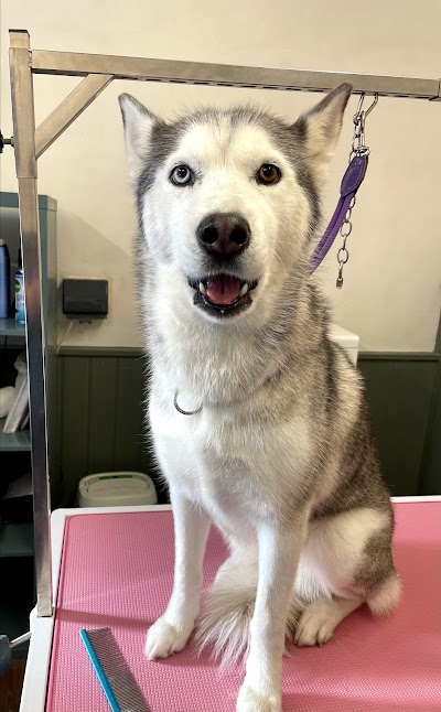 Grooming Van Image