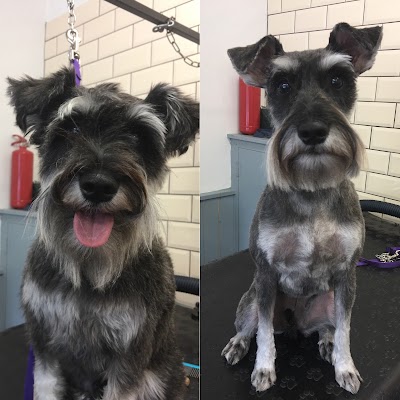 Grooming Van Image