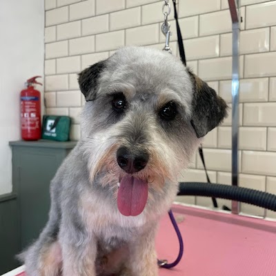 Grooming Van Image