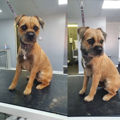 Grooming Van Image