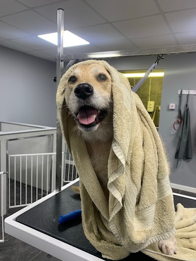 Grooming Van Image