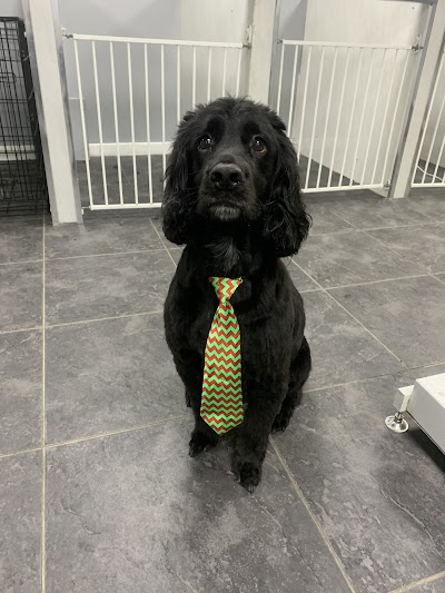 Grooming Van Image